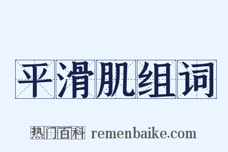 平滑肌组词是什么意思的图片